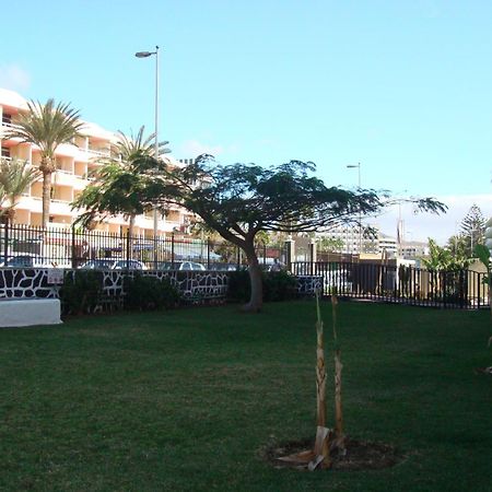 Los Cactus Playa del Ingles  Luaran gambar