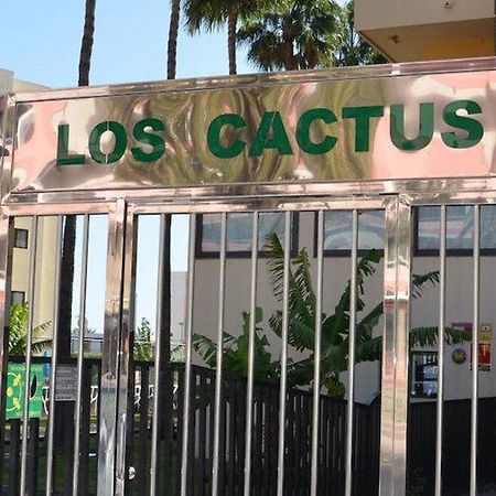 Los Cactus Playa del Ingles  Luaran gambar
